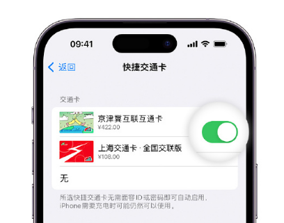 太谷apple维修点分享iPhone上更换Apple Pay快捷交通卡手绘卡面 