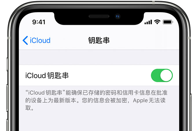 太谷苹果手机维修分享在 iPhone 上开启 iCloud 钥匙串之后会储存哪些信息 